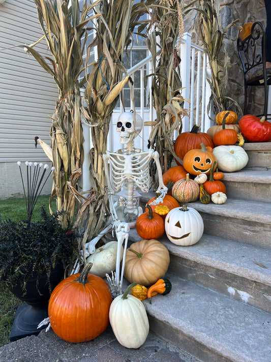 EXTRAS: Halloween decor assortment