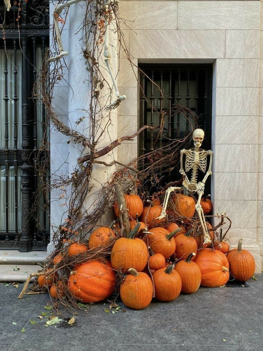 Ultimate Pumpkin Patch